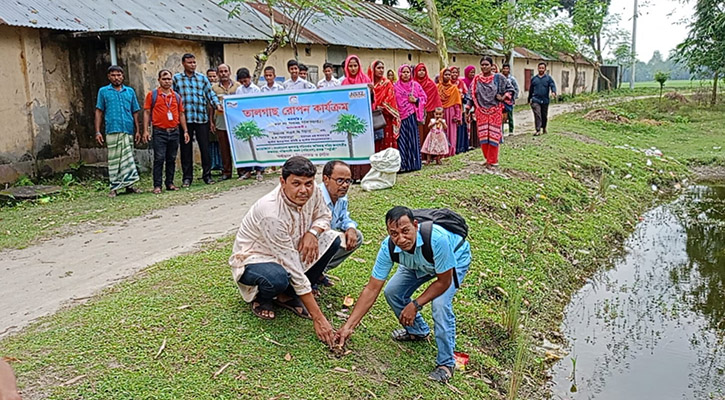 পরিবেশ রক্ষায় চিলাহাটিতে তাল বীজ বপন